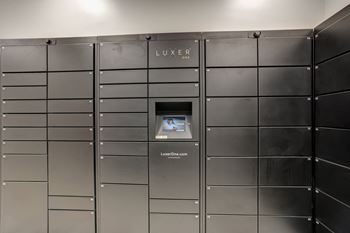 Mail center & parcel luxor concierge room